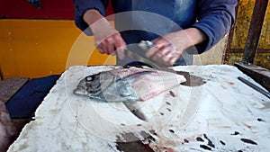 Fisherman prepares reine fish defin, skin and decapitate