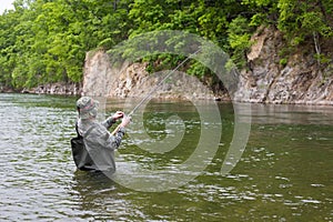 Fisherman pulls caught salmon