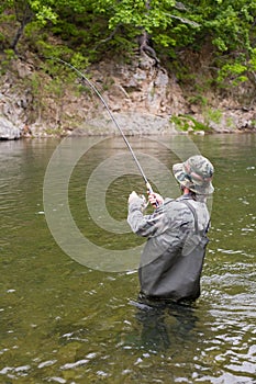 Fisherman pulls caught salmon