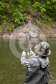 Fisherman pulls caught salmon