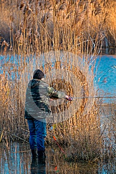 Fisherman in Reeds