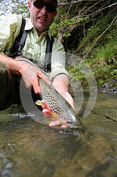 Fisherman releasing brown trout