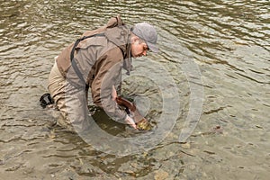 A fisherman releasing a red sockeye salmon back into the river