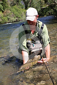 Fisherman releasing trout