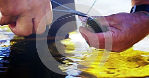 Fisherman removing hook from trout