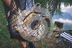 Fisherman`s catch fish in nets on the pond.