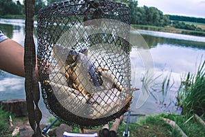 Fisherman`s catch fish in nets on the pond.