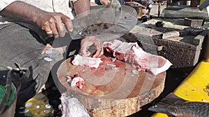 Fisherman salesman is cutting fresh tuna fish in the open-air fish market