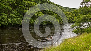 An fisherman salmon fly fishing on the River Orchy, Argyll, Scotland