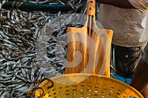 A fisherman with a shovel is preparing to unload a fishing boat. Fishing dock in southern India