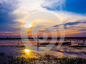 Fisherman Silhouette