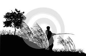 Fisherman silhouette in reed