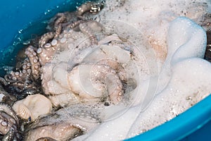 Fisherman slamming and softening with hand a big raw fresh octopus on the pier of the port of Bari, Puglia