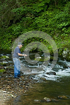 Fisherman in a small trout stream.