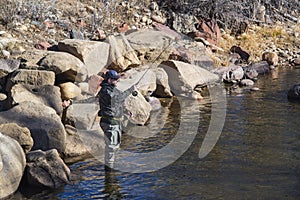 Fisherman standing in the Poudre River fly fishing in Colorado