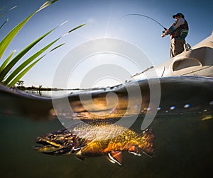 Fisherman and trout photo