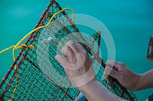 Fisherman try to unpack trapped fish from fishing net with background of blue sea