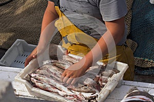Rybár vykladanie úlovok 