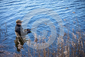 Fisherman in waders catches pike in the lake