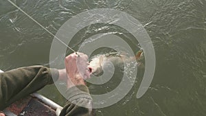 Fisherman in warm clothes pulls a large fish out on fishing line into boat. Men`s hobby and spare time.