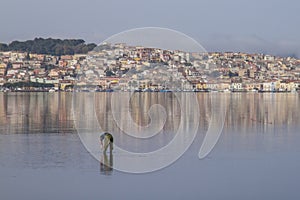 A fisherman at work bending in the flat sea water that reflects the houses of Sant `Antioco in Sardinia