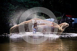 Pescador en 