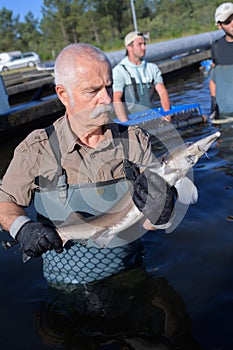 fishermans catch in fishfarm photo