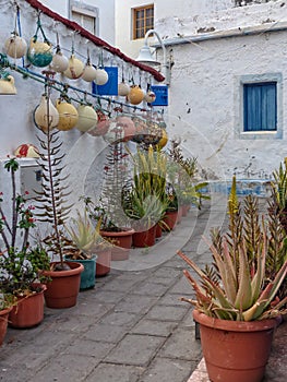 Fishermans house in Agaete Canary Islands