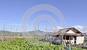 Fishermans hut on lake Tanado, Manado