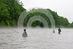 Fishermen catch salmon river