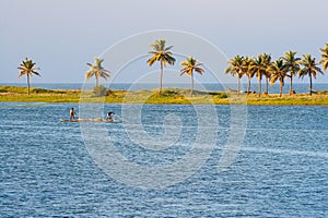 Fishermen Catching Fish at Chennai Buckingham Canal with Palm Tr