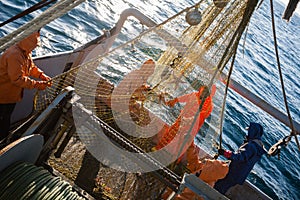 Fishermen choose a trawl with fish