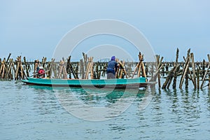 Fishermen collect shellfish.