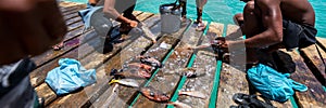 Fishermen with colorful fish, panorama