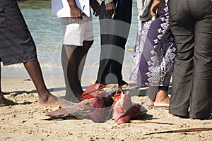 Fishermen gathered around the fish in Vilanculos