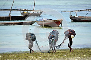 Fishermen going to work, Zanzibar