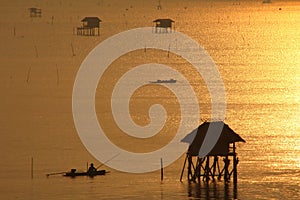 Fishermen in the golden sea, Morning Bay Bangtabun