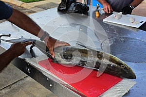 Fishermen hands with knife cleaning fish