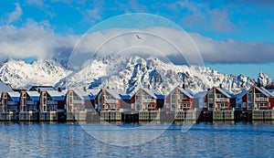 Fisherman houses in Svolvaer