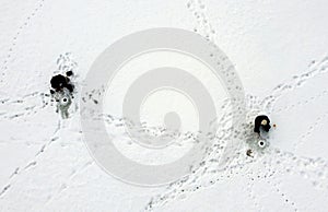 Fishermen on ice, areial view