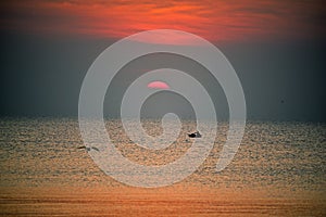 Fishermen leave fishing in the middle of the sea while sunrise n