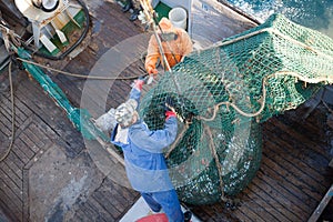 Fishermen lifted a trawl with fish aboard