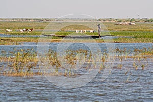 Fishermen in a pirogue in the Niger river.