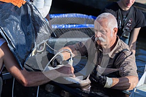 fishermen pulling fish from boat
