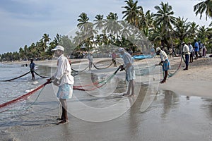 Fishermen pulling in nets on Uppuveli beach in Sri Lanka.