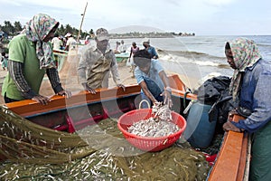 Fishermen remove fish from their nets after returning from a nights fishing off Negombo in Sri Lanka.