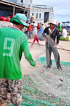 Fishermen are removing anchovies fish from their nets to start a new working day in Ly Son island