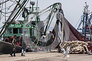 Fishermen return with their catch to the busy harbour at Essaouira in Morocco.