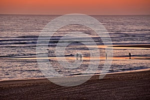 Fishermen by the sea at sunset