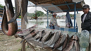 fishermen selling fish in Sangele Village, Poso Regency, Central Sulawesi, Indonesia